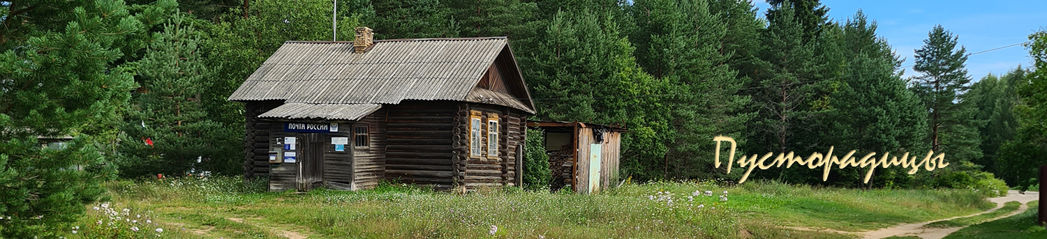 Пусторадицы